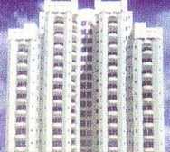 Multiple Group - Landmark Project